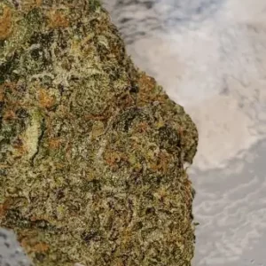 31 Ghosts cannabis flower